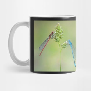 Large Red and Azure Damselflies on a Grass Stalk Mug